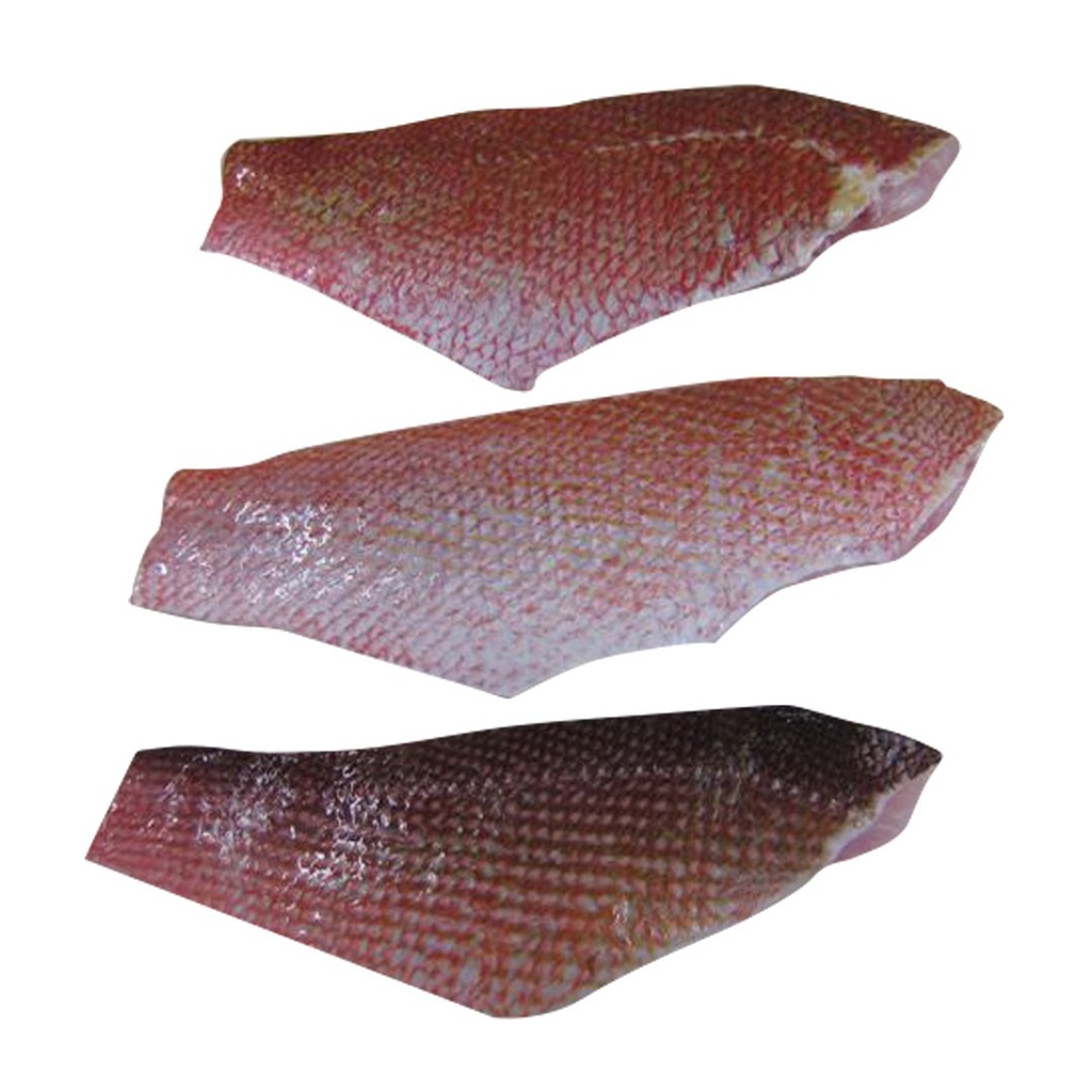Frozen Red Snapper Fillet