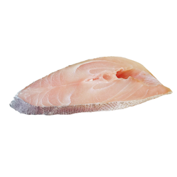 Frozen Corvina Steak